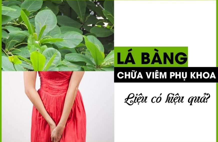 chua-viem-phu-khoa-bang-la-bang