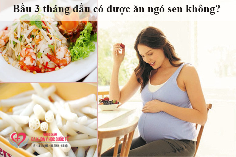 Bầu 3 tháng đầu có được ăn ngó sen không