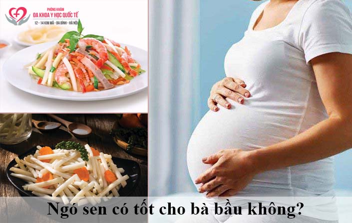 Ngó sen có tốt cho bà bầu không