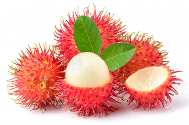 1kg-chom-chom-bao-nhieu-calo